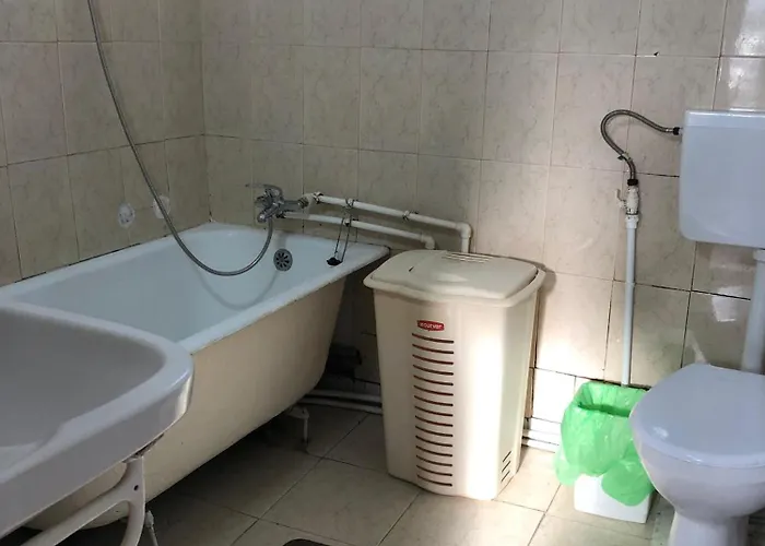 Проживание в семье Delfinariu